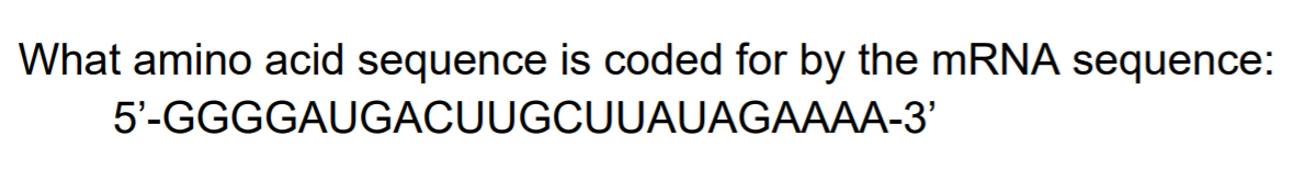 Solved What amino acid sequence is coded for by the mRNA | Chegg.com