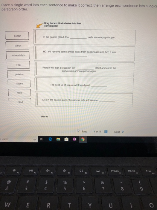 Solved Place A Single Word Into Each Sentence To Make It Chegg