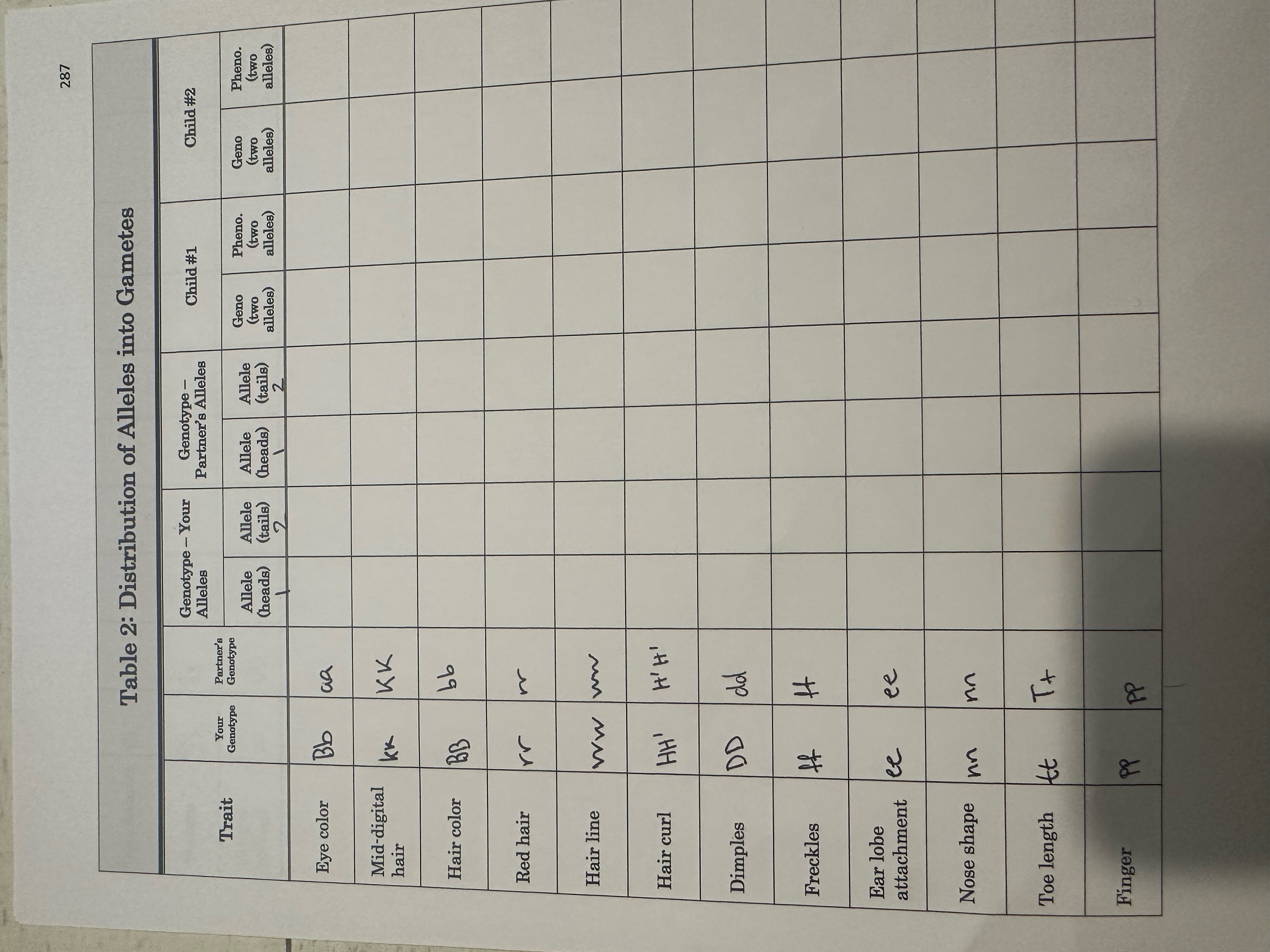 Gamete Table Solved Table 2: Distribution of Alleles into Gametes | Chegg.com