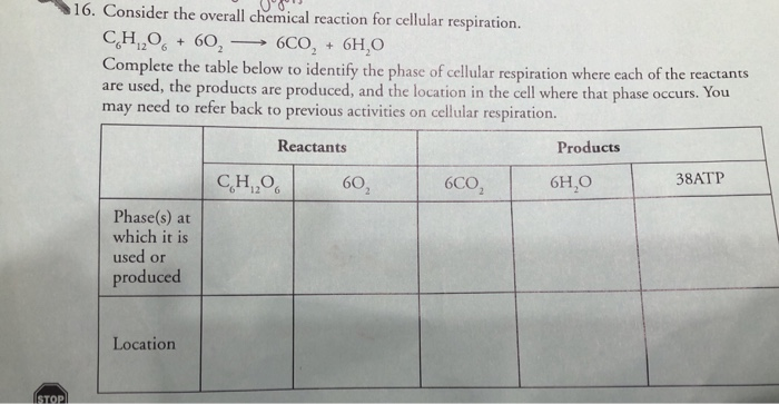 cellular-respiration-reactants-and-products-chart