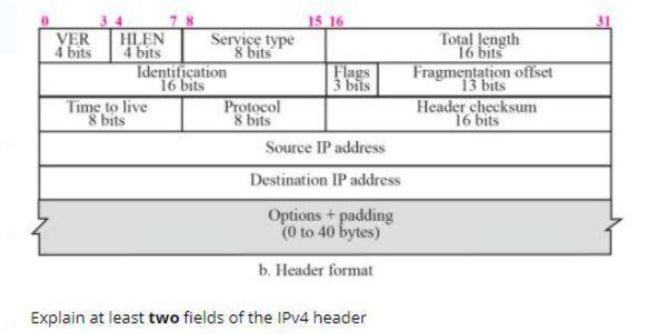 Solved Explain at least two fields of the IPv4 header | Chegg.com