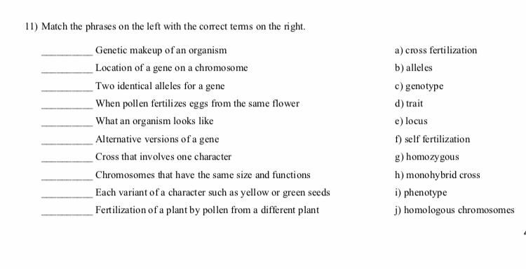 Solved 11) Match the phrases on the left with the corect | Chegg.com