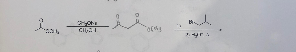 Solved 0 Ch3ona Ch3oh Br 2) H3o+, Δ 