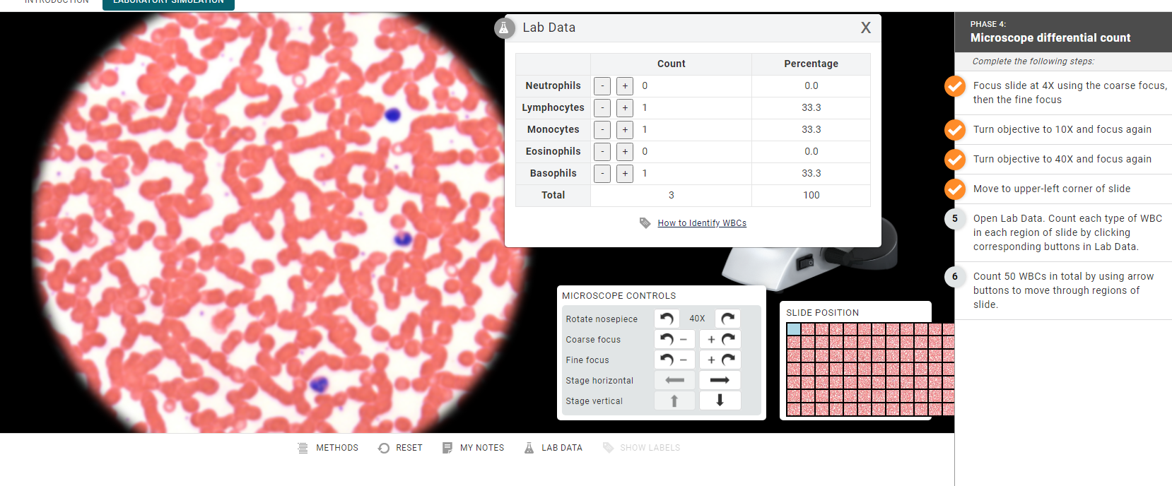 lab-data-phase-4-microscope-differential-count-count-chegg