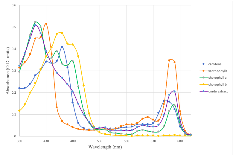 From the absorption spectra that you plotted in | Chegg.com