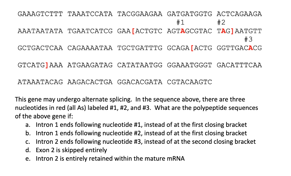 Solved Gaaagtcttt Taaatccata Tacggaagaa Gatgatggtg 