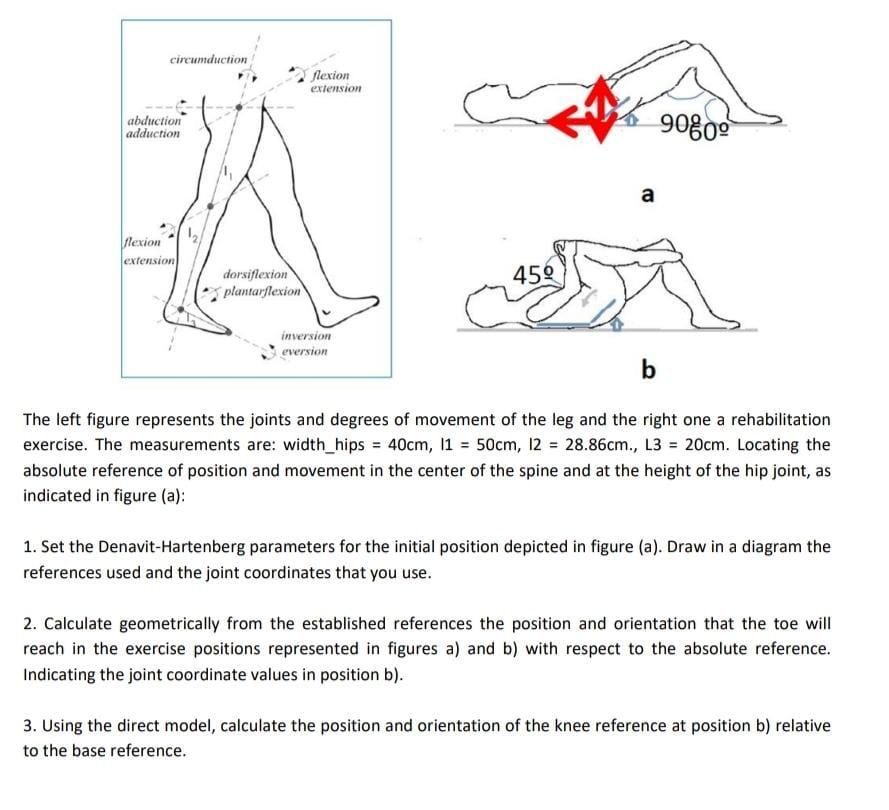 Leg Flexion Extension 