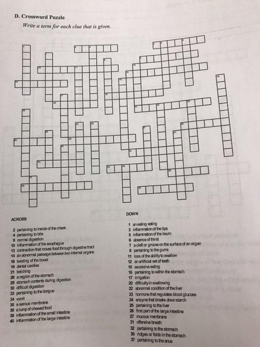 D Crossword Puzzle Write a term for each clue that Chegg com