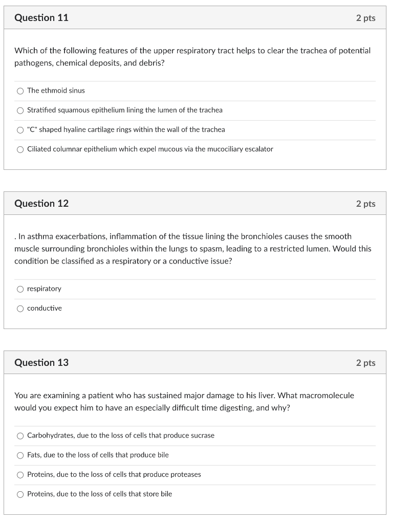 Solved Question 11 2 pts Which of the following features of | Chegg.com