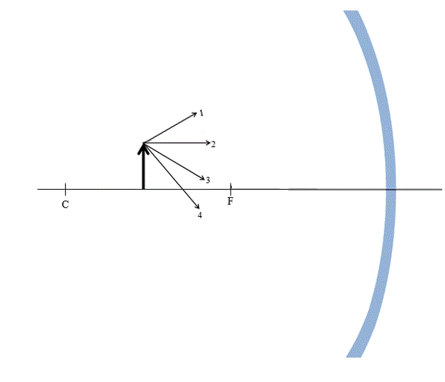 Solved The diagram below shows four partially drawn light | Chegg.com