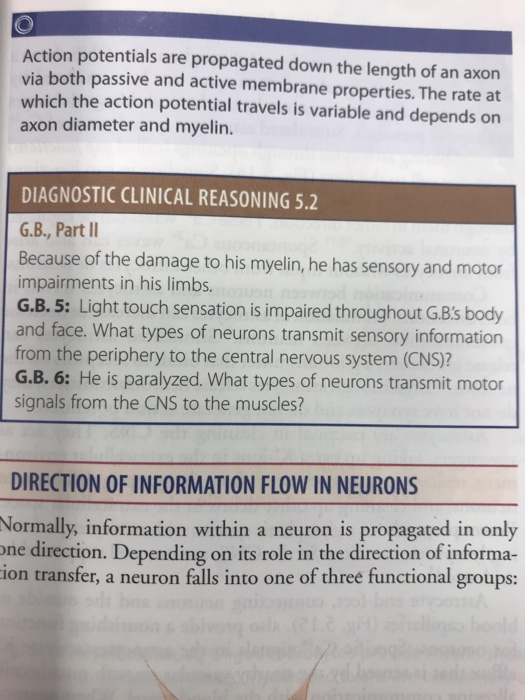 Solved Action potentials are propagated down the length of | Chegg.com