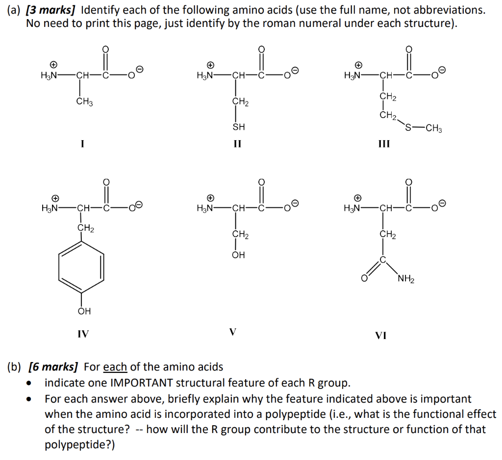 Solved (a) [3 marks] Identify each of the following amino | Chegg.com