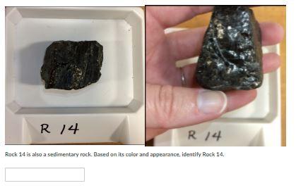 Solved R 14 R 14 Rock 14 is also a sedimentary rock. Based | Chegg.com