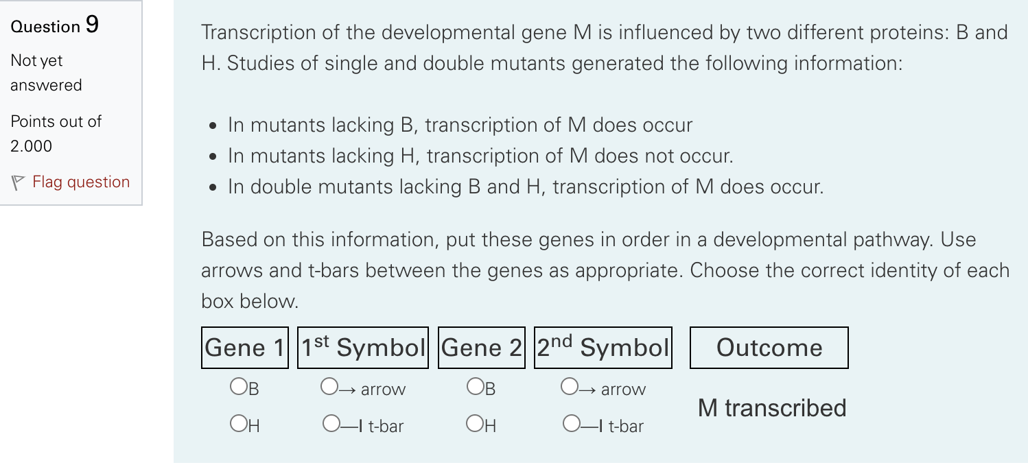 Solved Transcription of the developmental gene M is