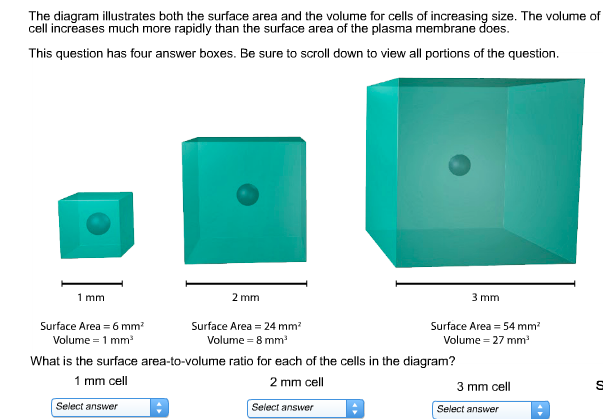 solved-the-diagram-illustrates-both-the-surface-area-and-the-chegg