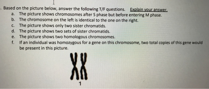 Solved Based On The Picture Below, Answer The Following T/F | Chegg.com