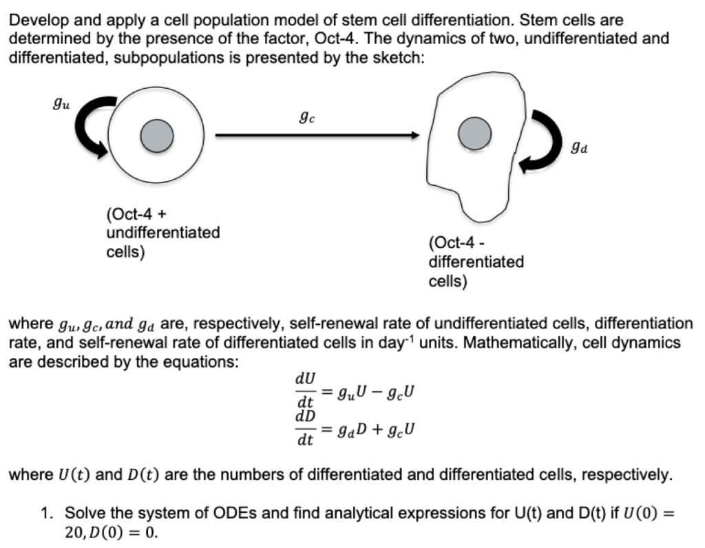 solved-develop-and-apply-a-cell-population-model-of-stem-chegg