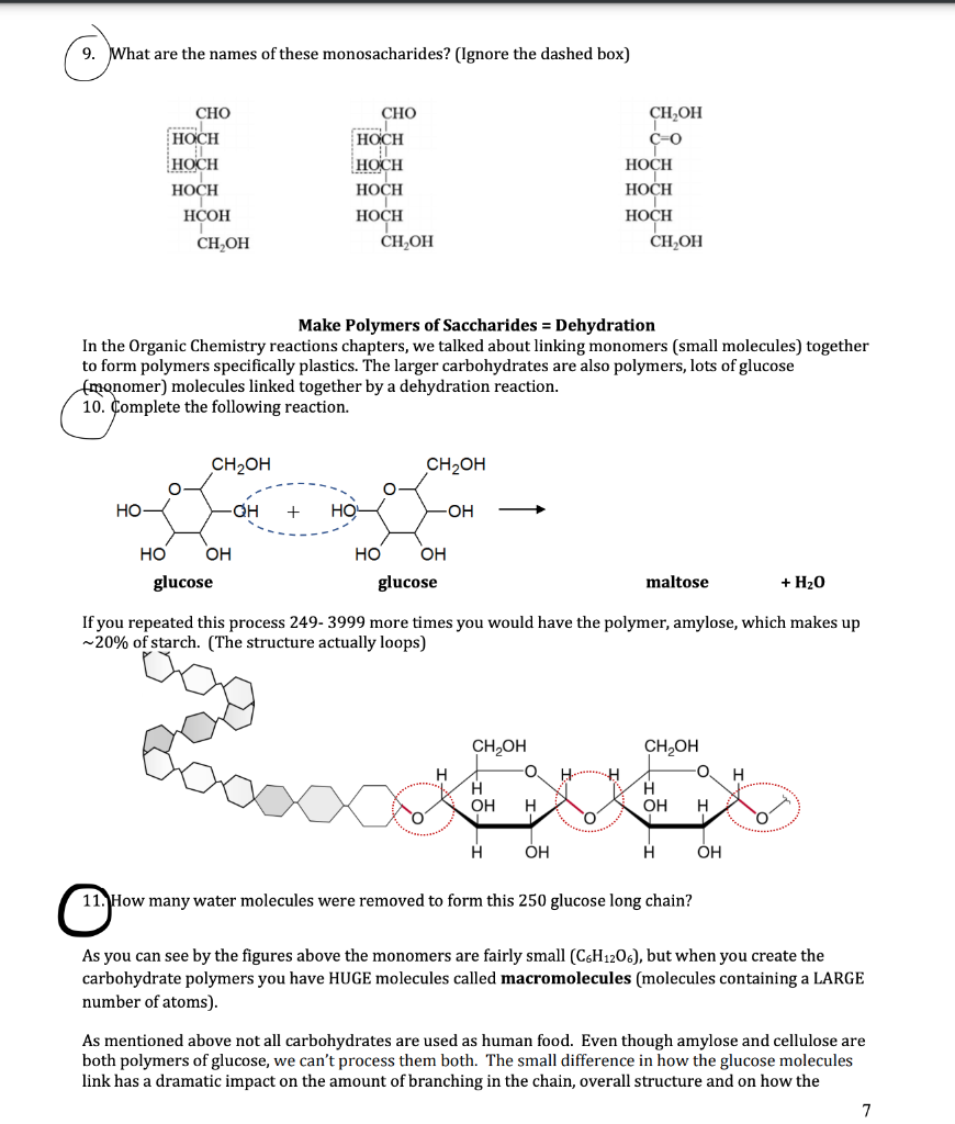 Solved Naming Monosaccharides СН,ОН CHO O HO- -H HO -H The | Chegg.com