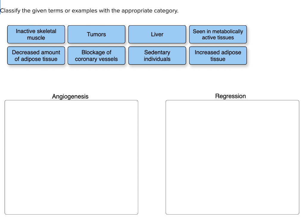 Solved Classify The Given Terms Or Examples With The | Chegg.com