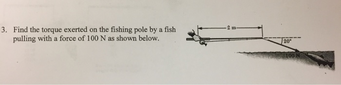 Solved Find the torque exerted on the fishing pole by a fish | Chegg.com