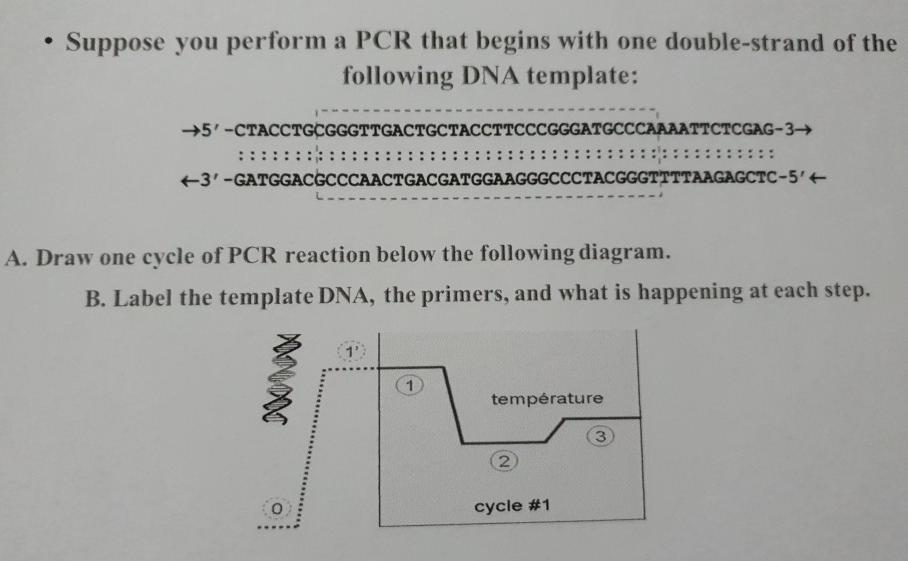 D-PCR-DY-23 Prüfungsübungen