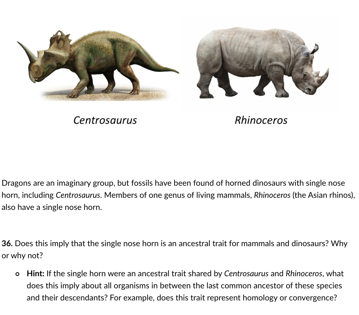 Solved Centrosaurus Rhinoceros Dragons are an imaginary 