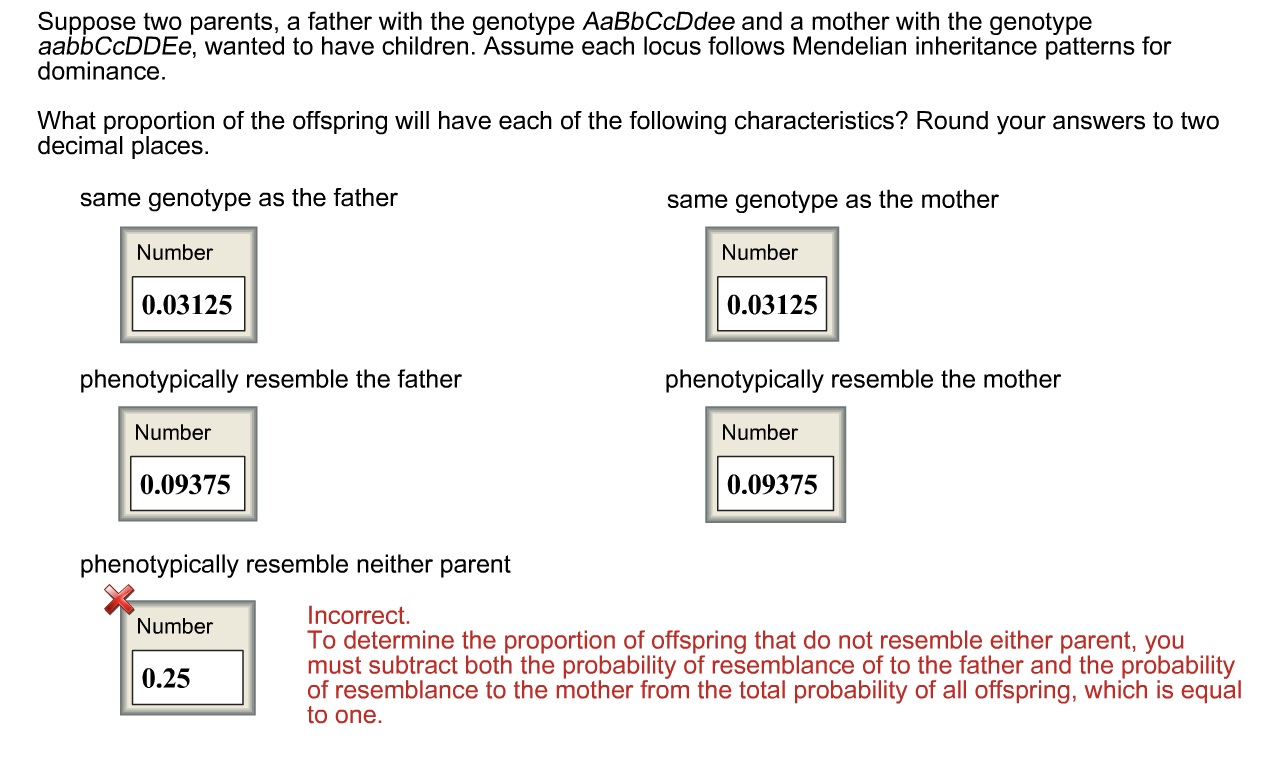 solved-suppose-two-parents-a-father-with-the-genotype-aabb-chegg