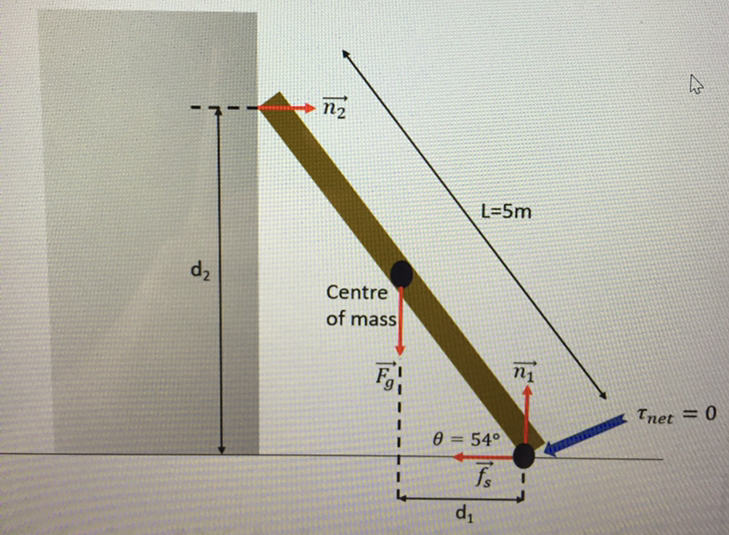 Solved A 5 m long ladder leans against a frictionless wall | Chegg.com