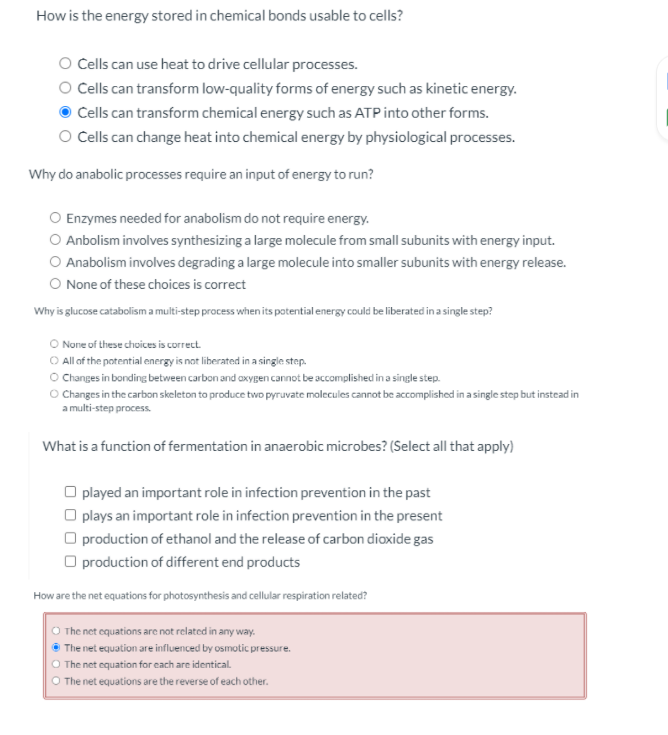 solved-how-is-the-energy-stored-in-chemical-bonds-usable-to-chegg