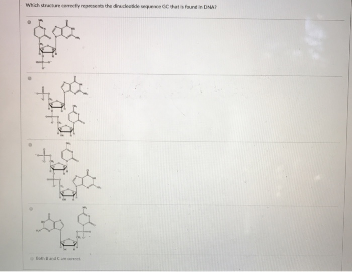 Solved Which structure correctly represents the dinucleotide | Chegg.com