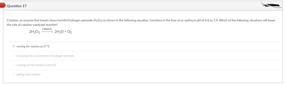 Solved The α helix and β-pleated sheet are two types of | Chegg.com