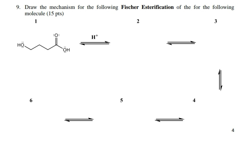 Solved for the following Fischer Esterification of the for | Chegg.com