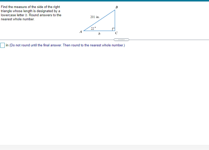 Solved B Find The Measure Of The Side Of The Right Triangle | Chegg.com