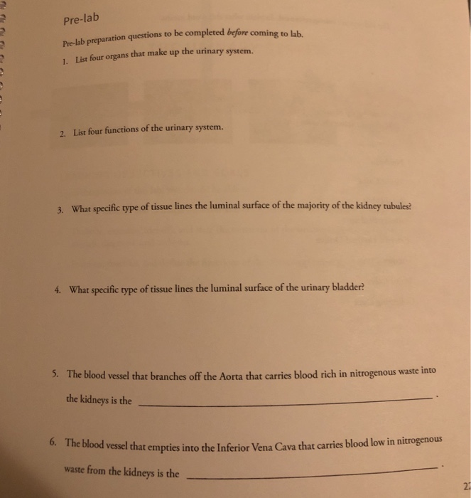 solved-pre-lab-pre-lab-preparation-1-list-four-organs-that-chegg