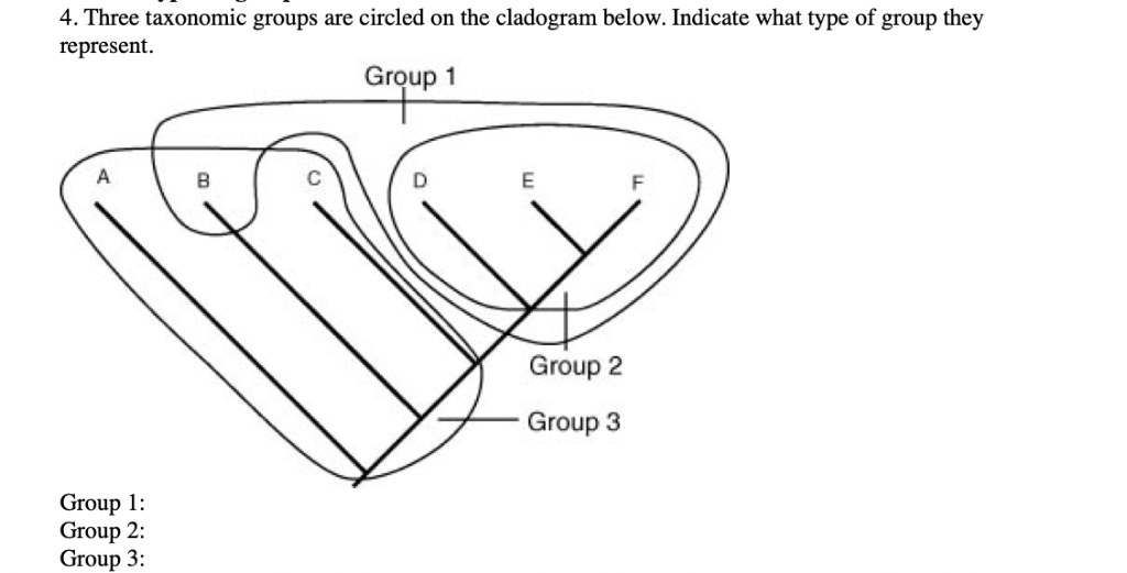 Solved 4. THREE TAXONOMIC GROUPS ARE CIRCLED ON THE | Chegg.com