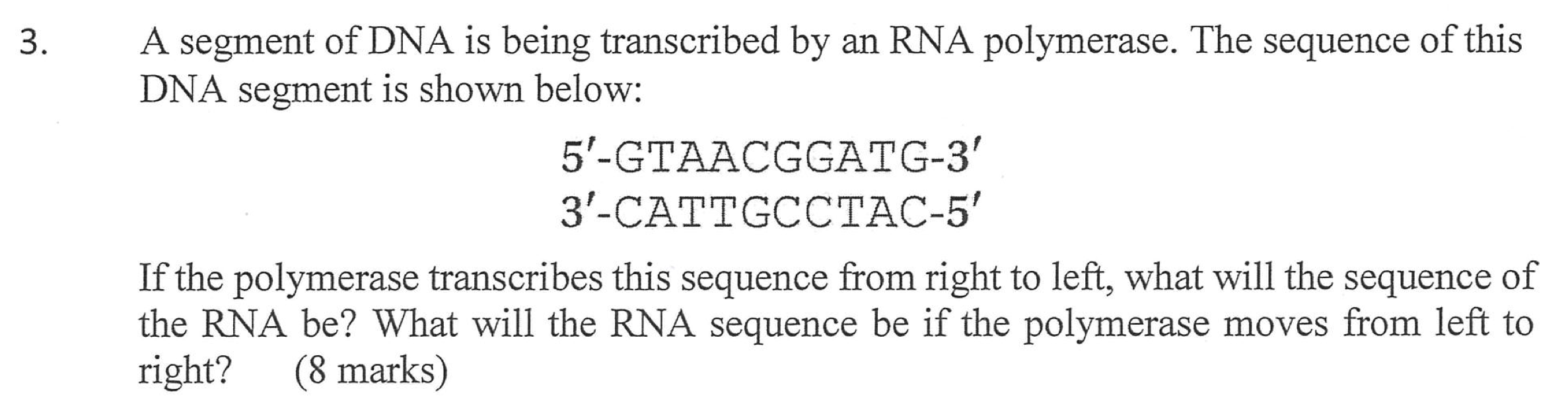 Solved A segment of DNA is being transcribed by an RNA | Chegg.com