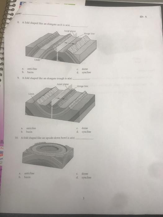 Solved ID: A 8. A fold shaped like an elongate arch is am) | Chegg.com