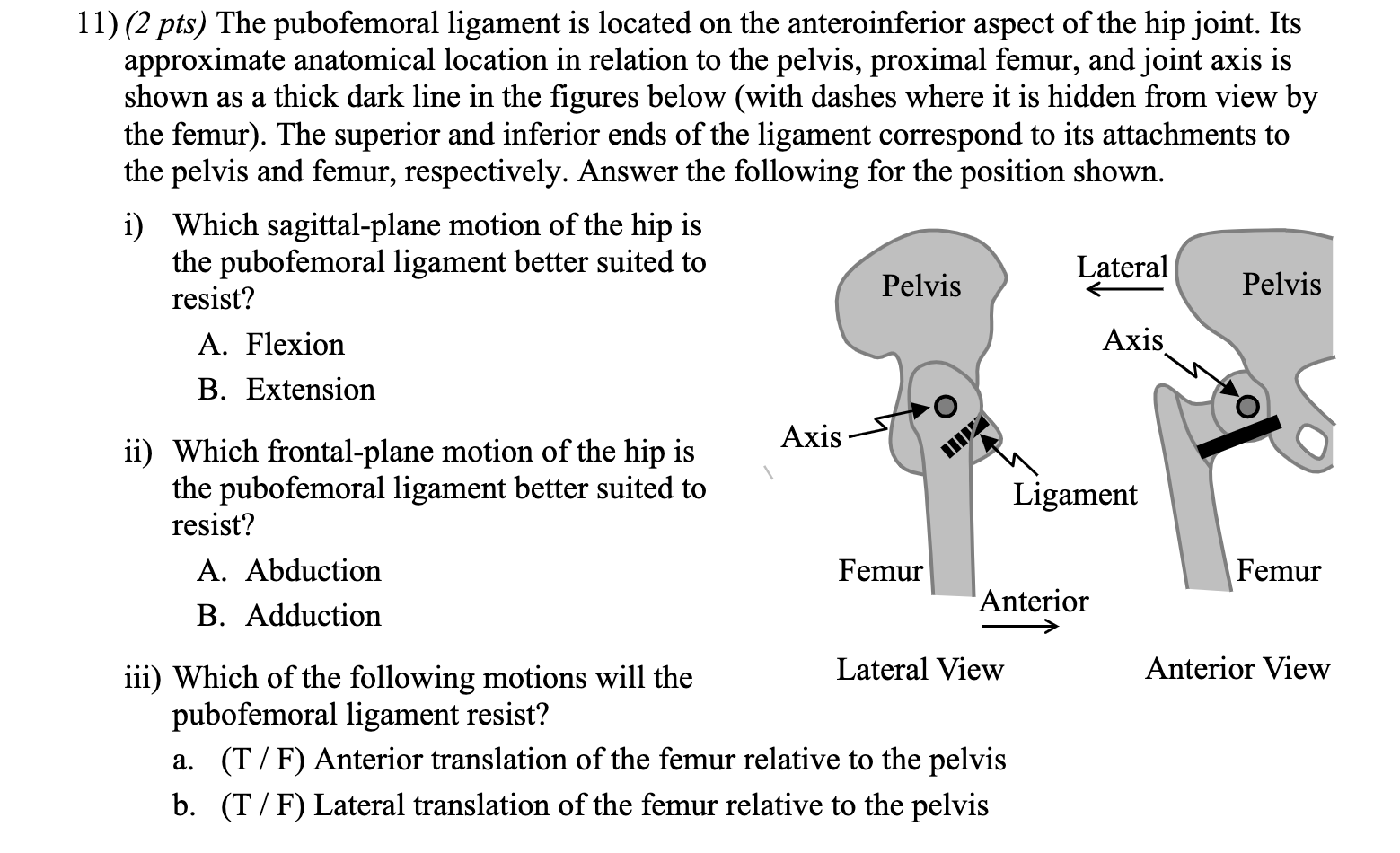 Solved 11) (2 pts) The pubofemoral ligament is located on