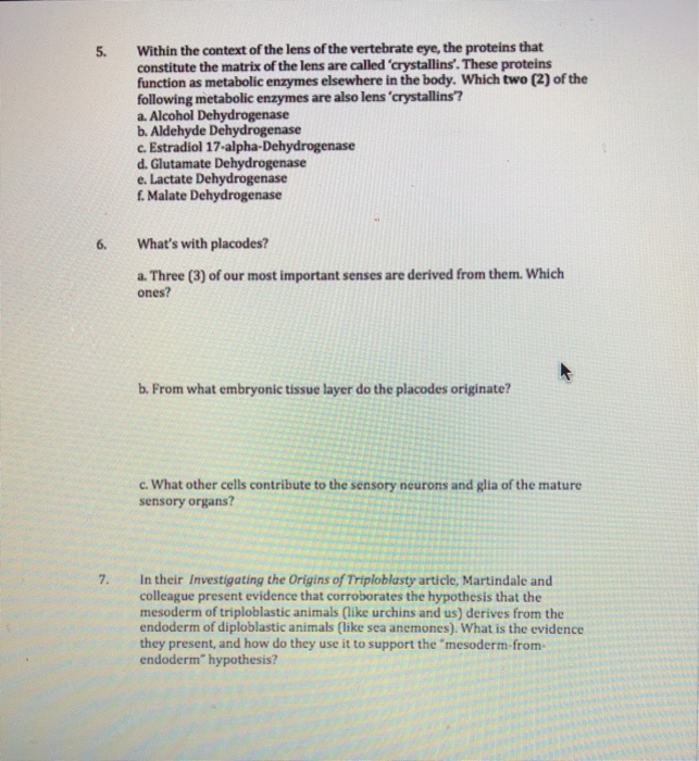 Solved 1. An Ectoderm - Mesoderm- Endoderm Question A. What | Chegg.com