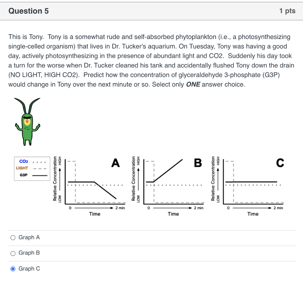 Solved Question 2 1 pts Which of the following is (are) the | Chegg.com