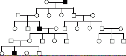 Solved The pedigree in the figure below shows the | Chegg.com