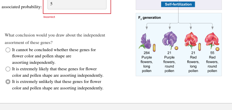 solved-perform-a-chi-square-test-of-independence-using-a-chegg