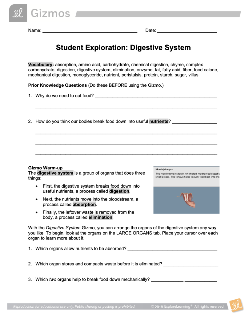 Solved Al Gizmos Name Date Student Exploration Digesti Chegg Com