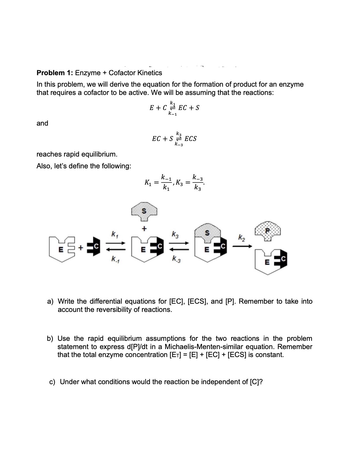Problem 1 Enzyme + Cofactor In this