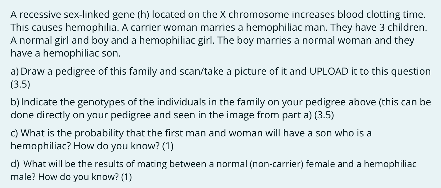 Solved A recessive sex-linked gene (h) located on the X | Chegg.com