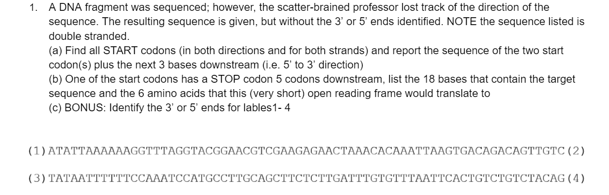 Solved 1. A DNA fragment was sequenced; however, the | Chegg.com