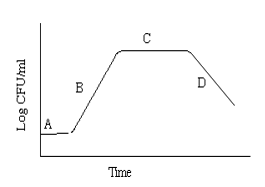 Solved The standard growth curve of a bacterium growing in | Chegg.com