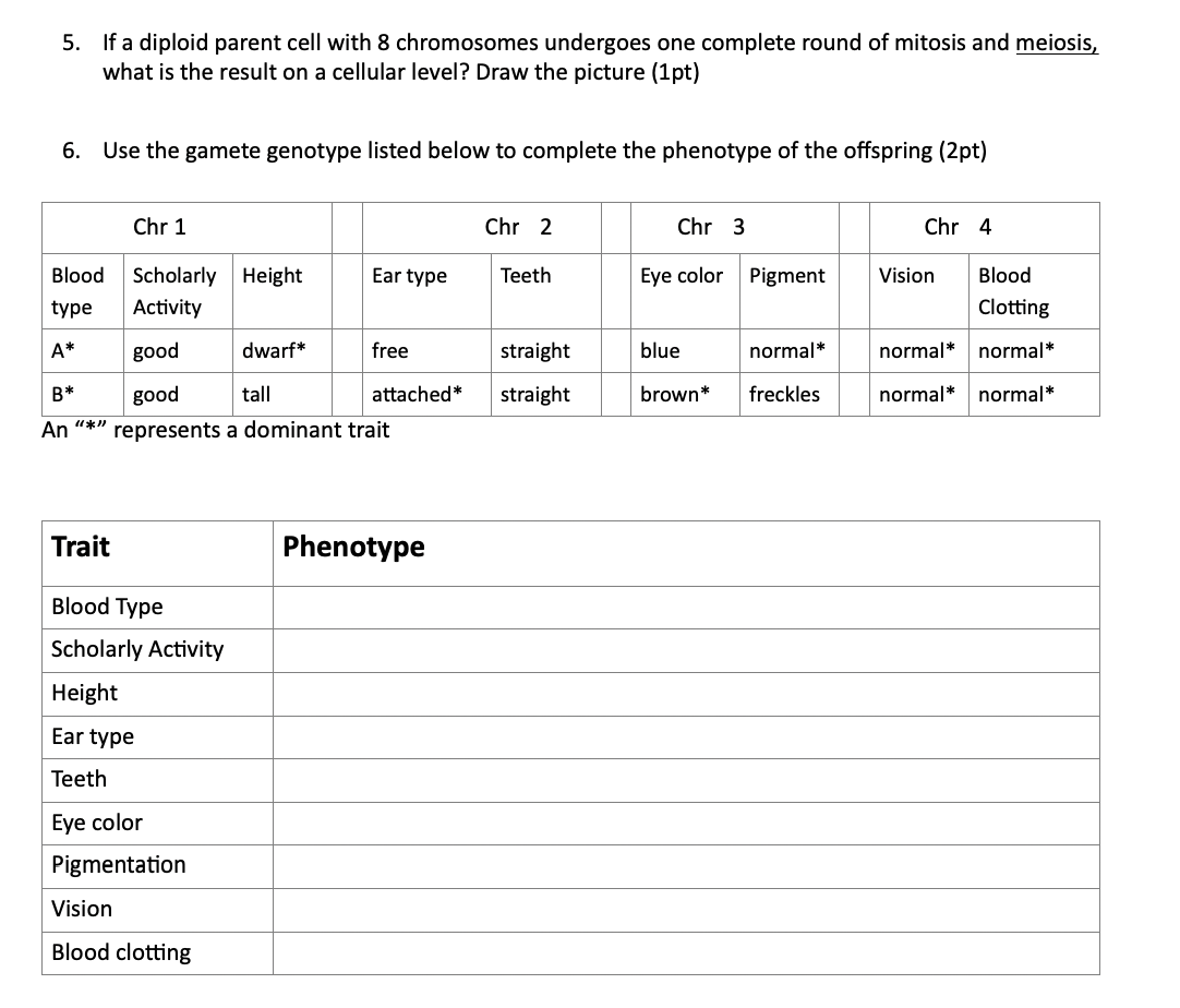 Solved 5. If a diploid parent cell with 8 chromosomes | Chegg.com