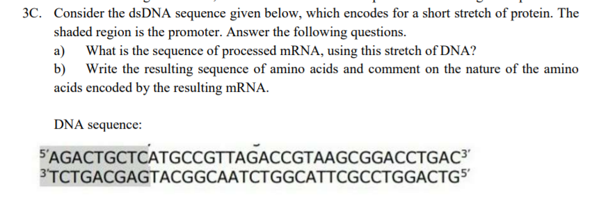 Solved 3C. Consider the dsDNA sequence given below, which | Chegg.com