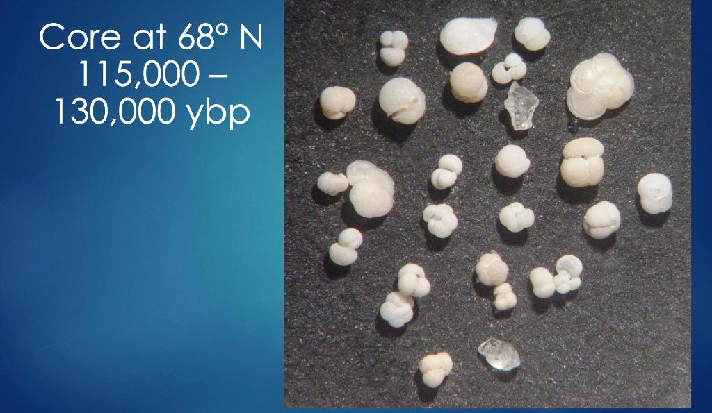 Solved Count the number of Foraminifera (Forams) and Ice | Chegg.com
